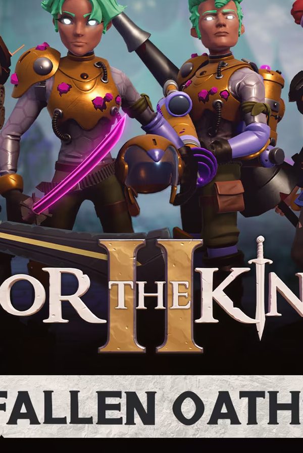 For The King II - Fallen Oaths Character Pack DLC EU PC Steam CD Key