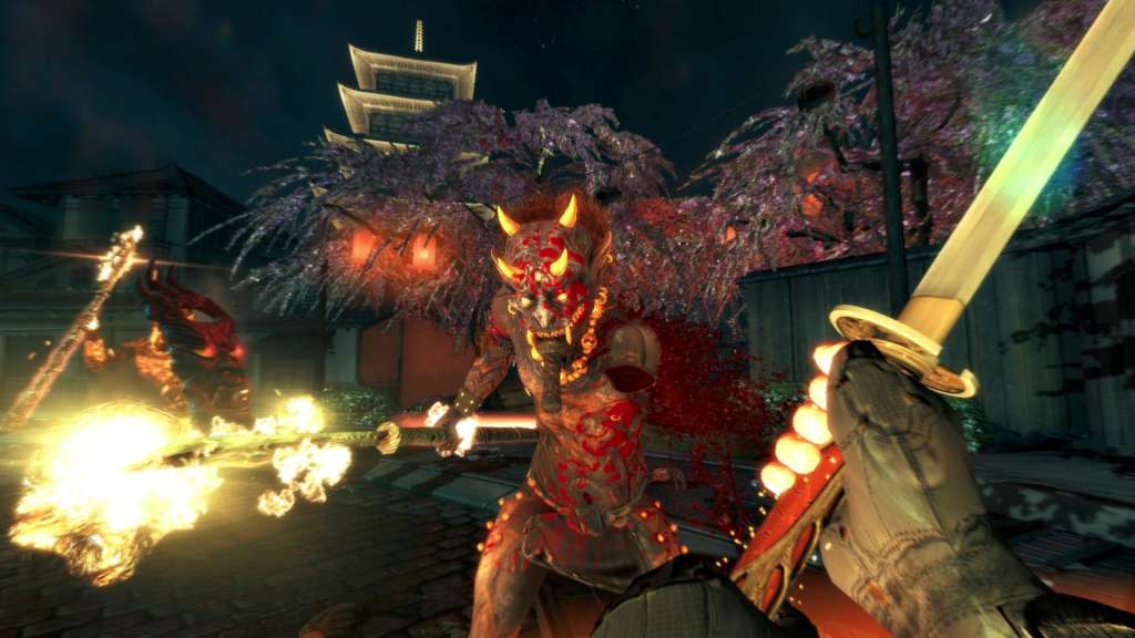 Shadow Warrior Special Edition EU Steam CD Key