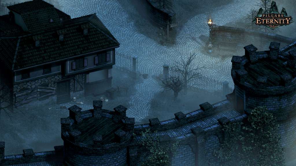 Pillars of Eternity Hero Edition EU Steam CD Key