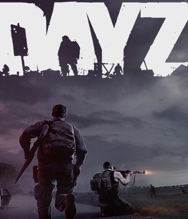 DayZ EU PC Steam Altergift