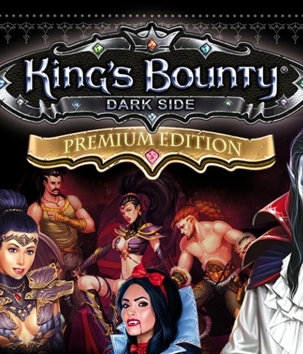 King's Bounty: Dark Side - Premium Edition Upgrade DLC EU PC Steam CD Key