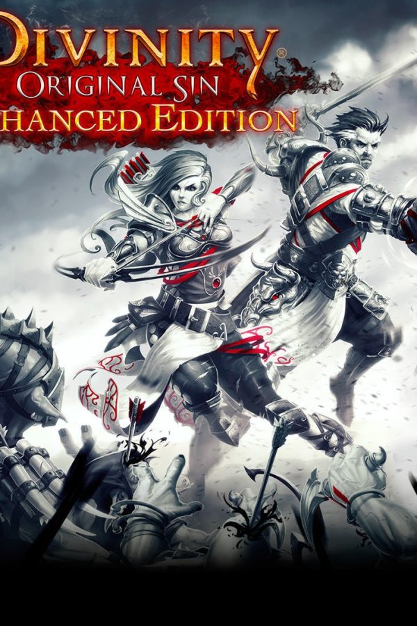 Divinity: Original Sin Enhanced Edition EU Steam Altergift