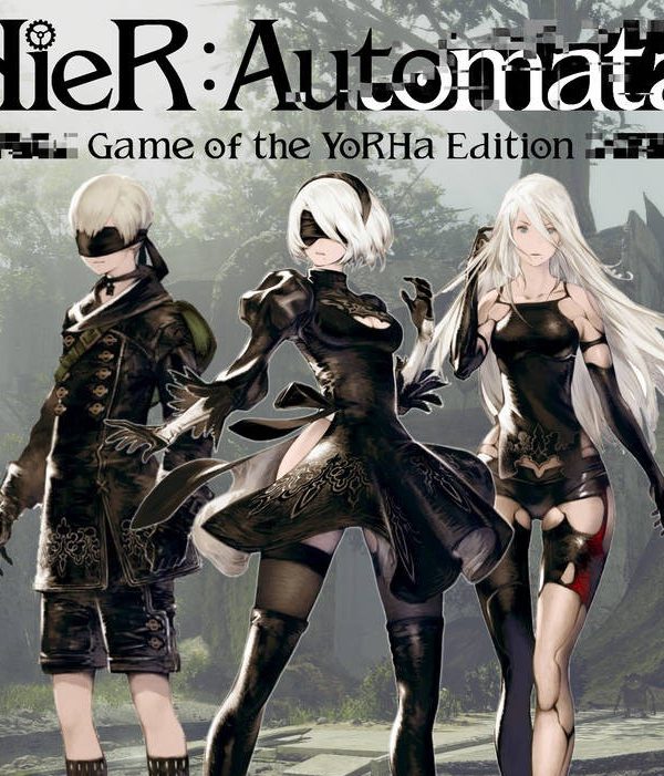 NieR: Automata Game of the YoRHa Edition EU Steam Altergift