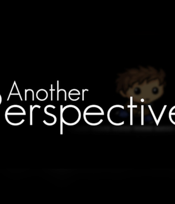 Another Perspective EU PC Steam CD Key