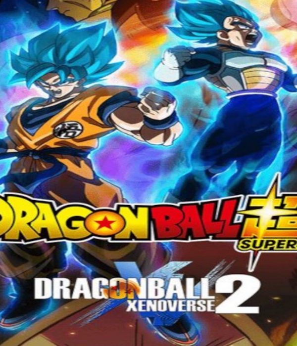 Dragon Ball Xenoverse 2: Super Edition EU Nintendo Switch CD Key