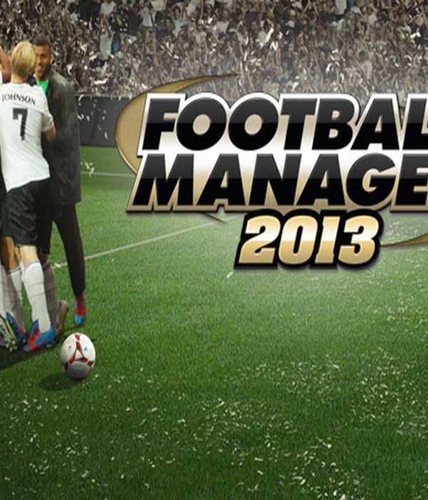 Football Manager 2013 EU Steam CD Key