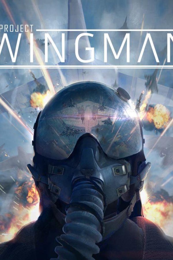 Project Wingman EU Steam Altergift