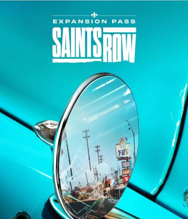 Saints Row - Expansion Pass DLC EU Steam CD Key