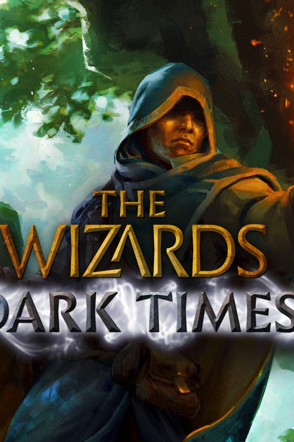 The Wizards: Dark Times EU Steam CD Key