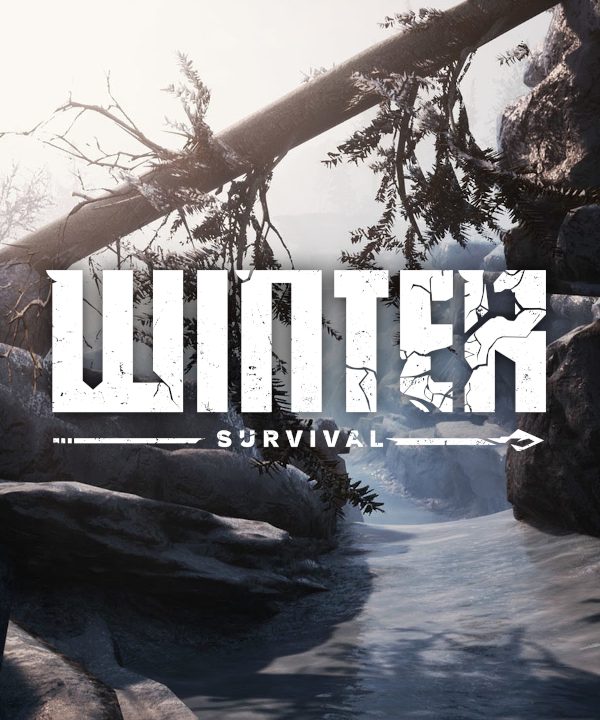 Winter Survival EU Steam CD Key
