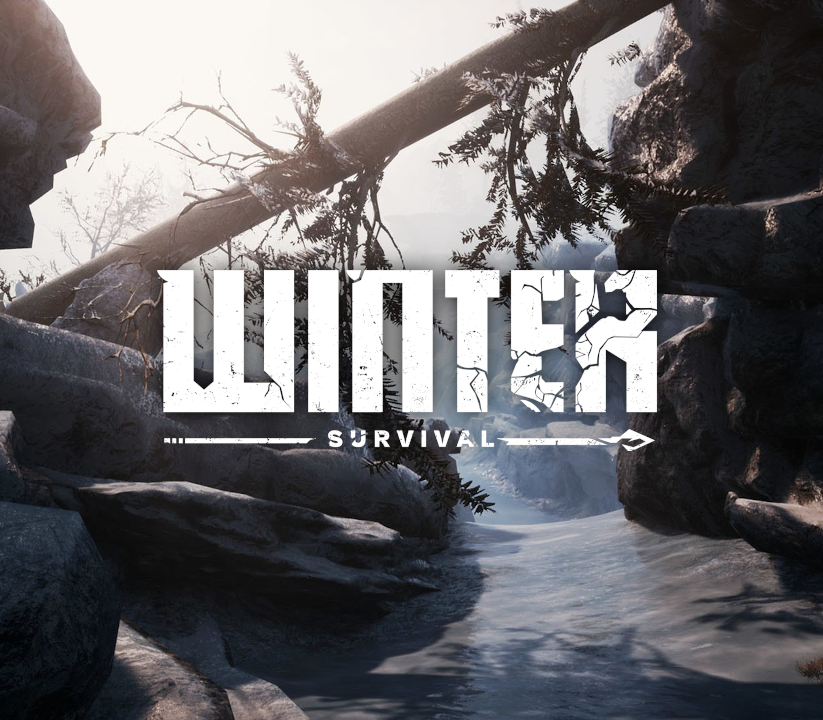 Winter Survival EU Steam CD Key