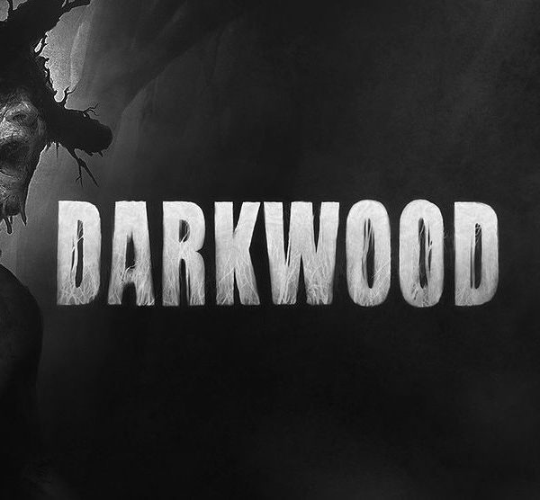 Darkwood EU PC Steam CD Key