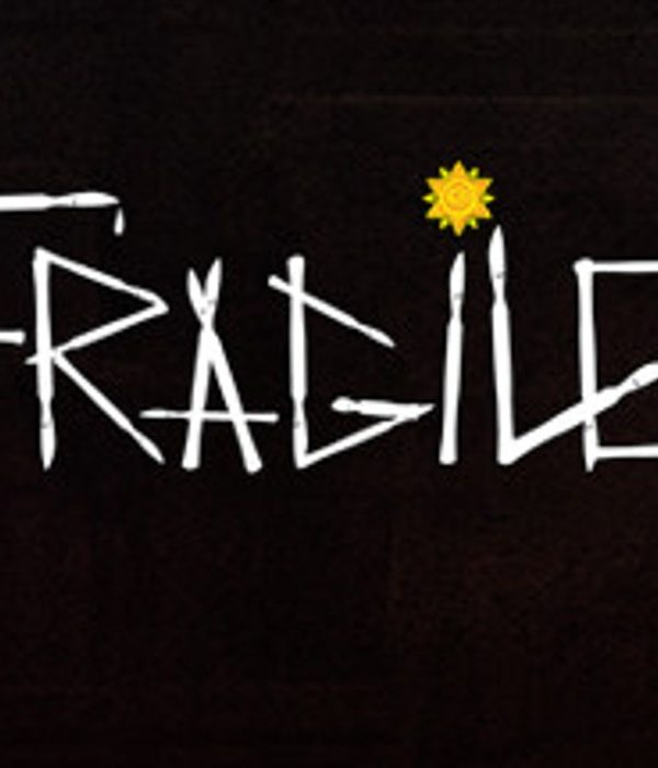 Fragile EU Steam Altergift
