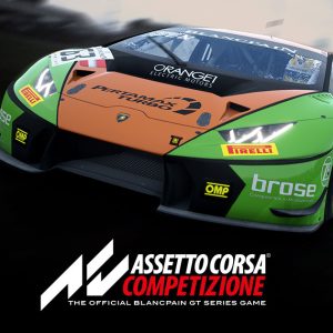 Assetto Corsa Competizione EU Steam Altergift