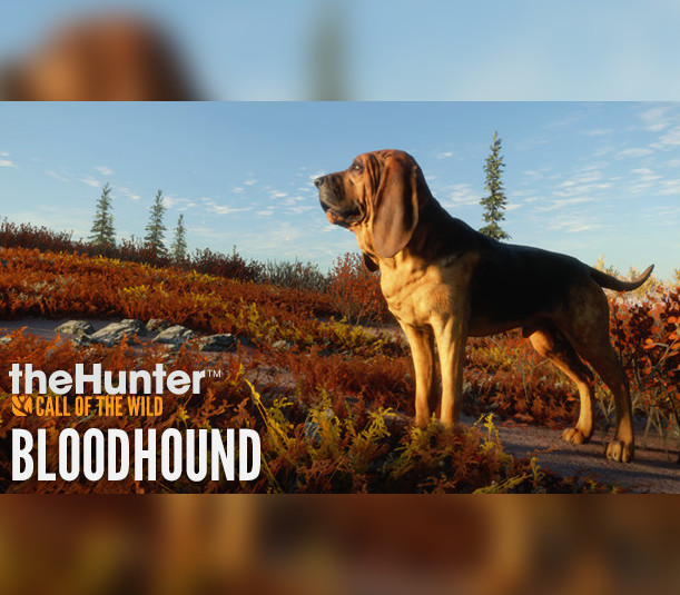 theHunter: Call of the Wild - Bloodhound DLC EU PC Steam Altergift