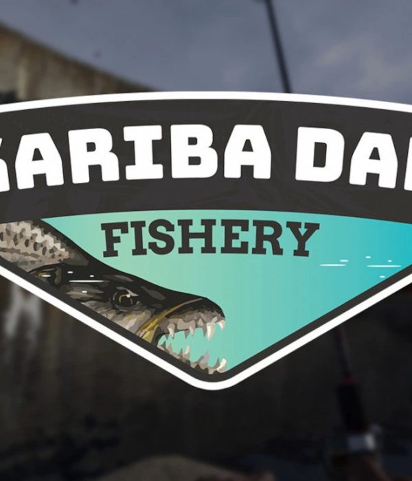 Ultimate Fishing Simulator - Kariba Dam DLC EU Steam CD Key