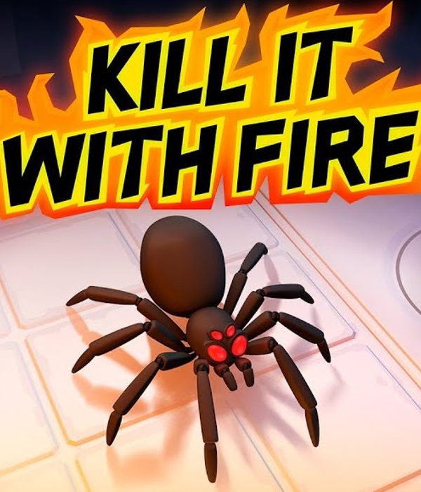 Kill It With Fire EU PC Steam CD Key