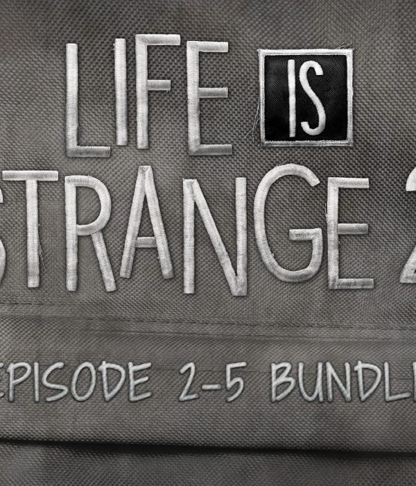 Life is Strange 2 - Episodes 2-5 bundle DLC EU PC Steam CD Key