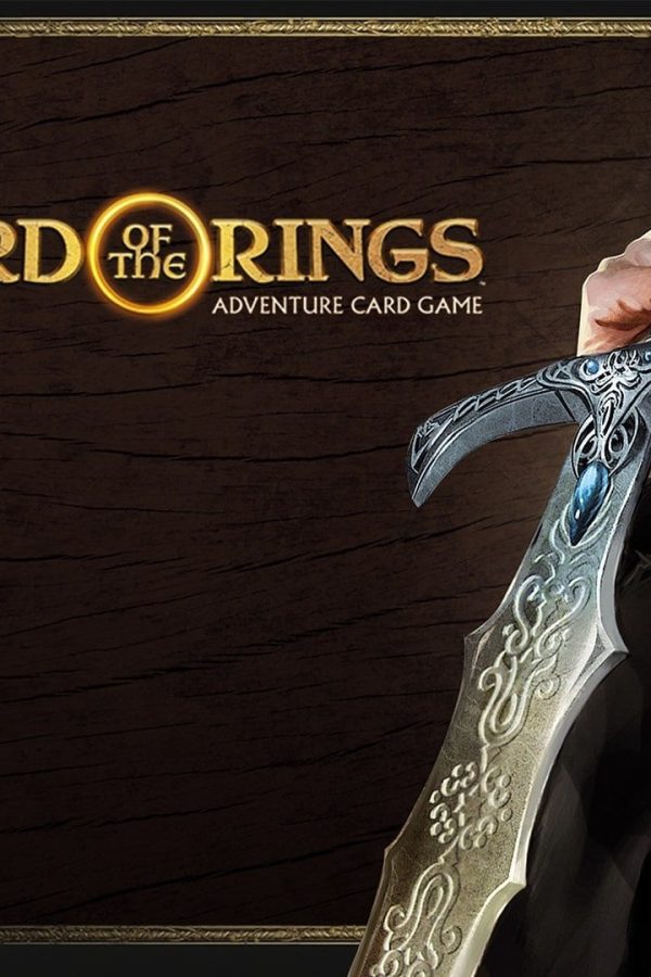 The Lord of the Rings Adventure Card Game Definitive Edition EU Steam CD Key