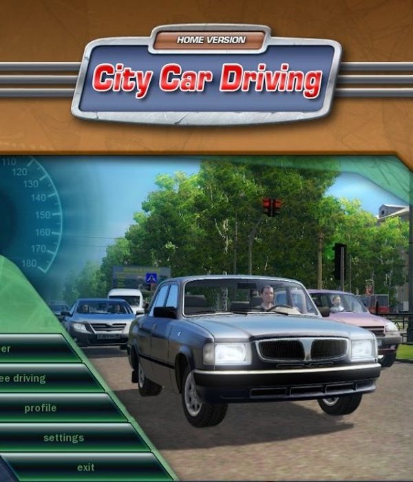 City Car Driving EU Steam Altergift