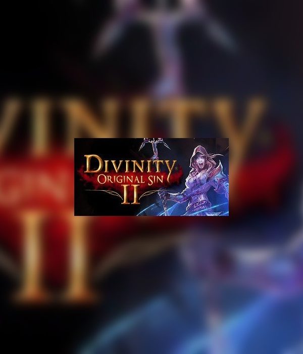 Divinity: Original Sin 2 - Divine Ascension DLC EU Steam Altergift