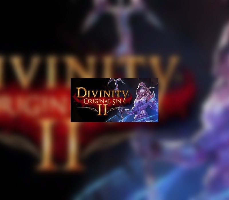 Divinity: Original Sin 2 Eternal Edition EU PC Steam Altergift