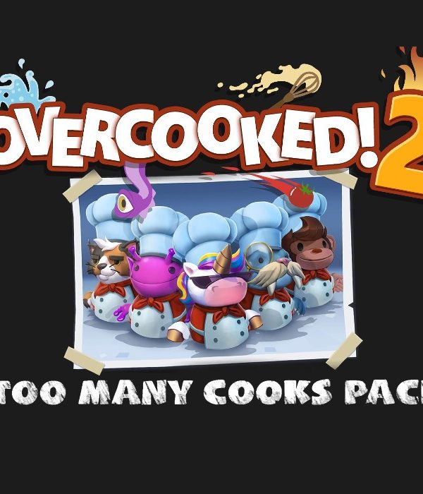Overcooked! 2 + Too Many Cooks Pack DLC Bundle EU Steam CD Key