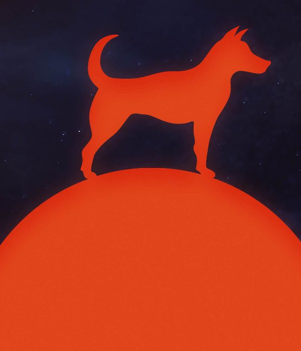 Surviving Mars - Project Laika DLC EU Steam CD Key