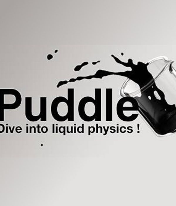Puddle EU Steam CD Key