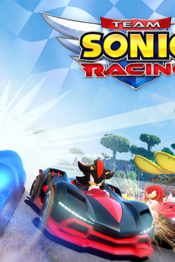 Team Sonic Racing EU Nintendo Switch CD Key