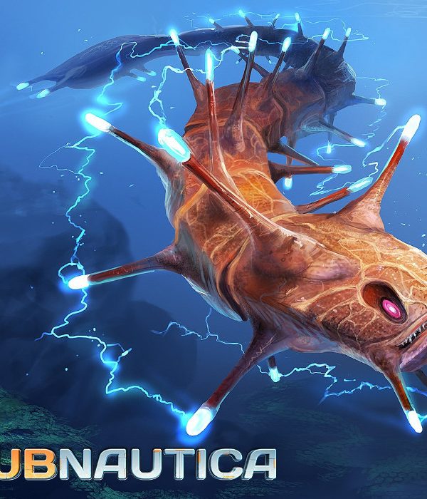 Subnautica EU PC Steam CD Key
