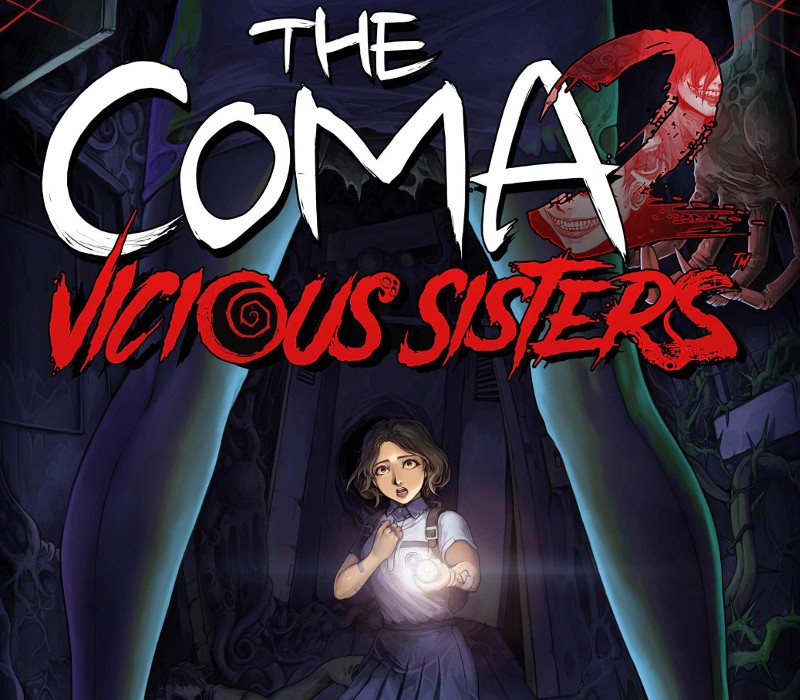 The Coma 2: Vicious Sisters EU Steam CD Key