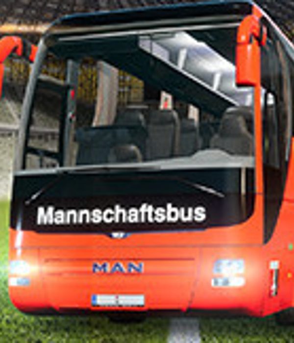 Fernbus Simulator - Football Team Bus DLC EU Steam CD Key