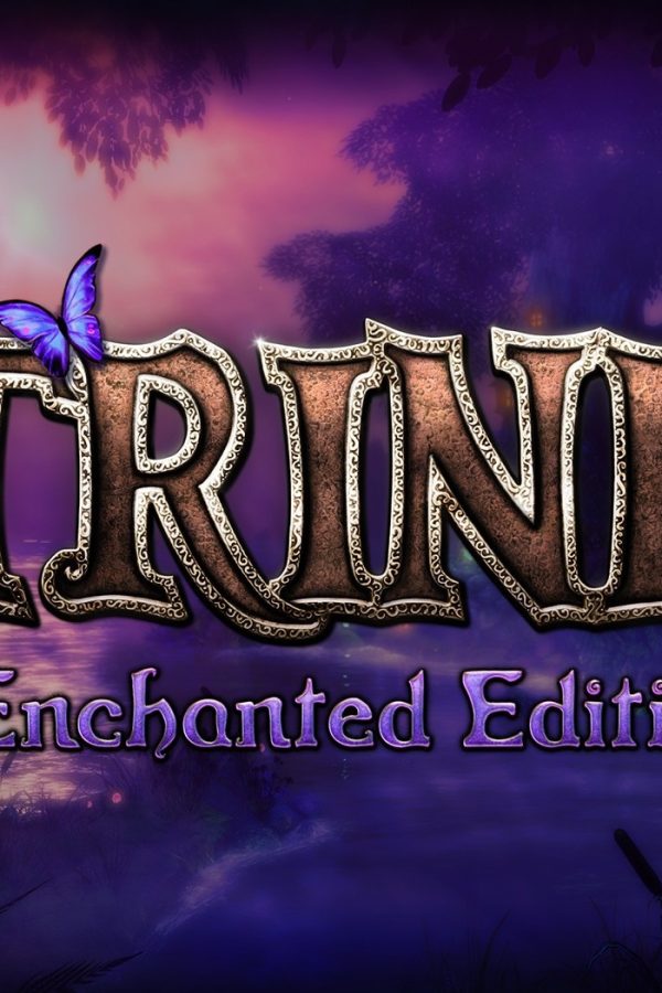 Trine Enchanted Edition EU Steam CD Key
