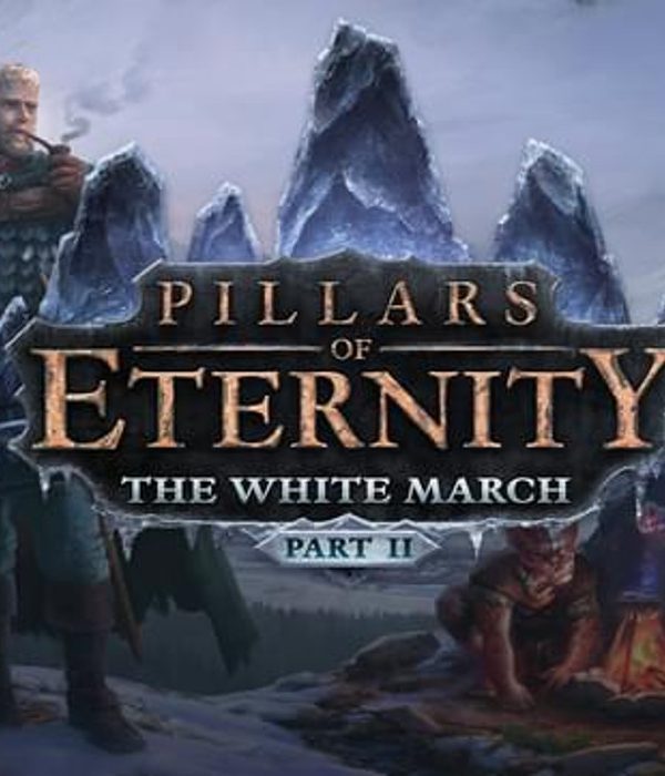 Pillars of Eternity - The White March Part II DLC EU Steam CD Key