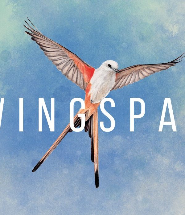 Wingspan EU Steam Altergift