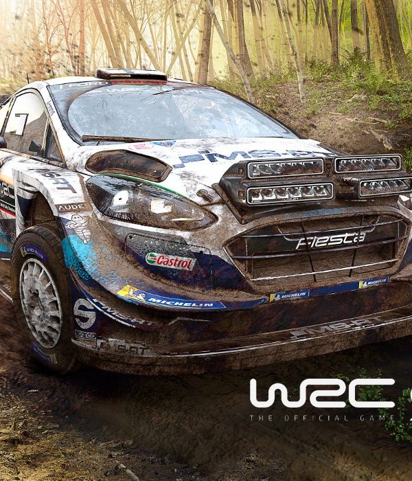 WRC 9 FIA World Rally Championship EU Epic Games CD Key